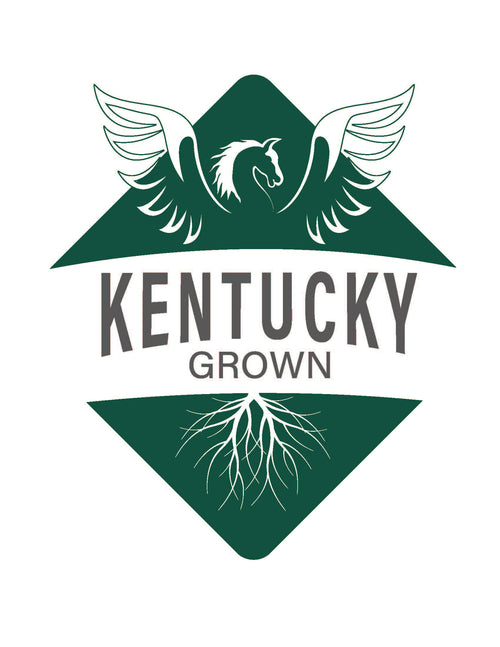 Kentucky Grown 